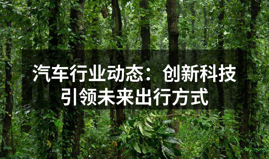 未来电动汽车的发展趋势